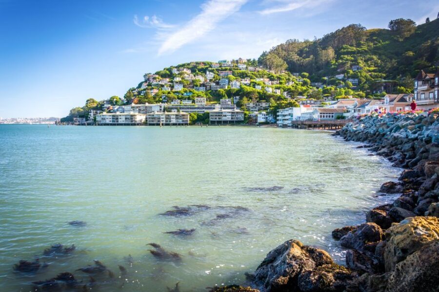 From San Francisco: Guided Tour to Muir Woods - Ending in Sausalito or returning to San Francisco