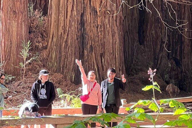 From San Francisco: Guided Tour to Muir Woods and Sausalito - Big Bus hop-on hop-off and the digital Chinatown walk