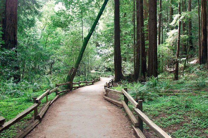 From San Francisco: Guided Tour to Muir Woods and Sausalito - How much time you really get, and how to plan your day