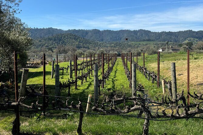From San Francisco: Half-Day Wine Aficionado Tour with Tastings - Getting from Fisherman’s Wharf to Sausalito without wasting the morning