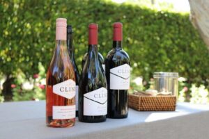 From San Francisco: Half-Day Wine Aficionado Tour with Tastings - Stop 1: Cline Cellars tasting—what you’re paying for and why it’s worth it