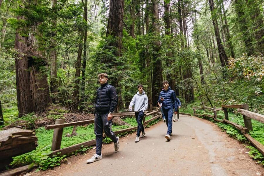 From San Francisco: Muir Woods, Sausalito and Alcatraz Tour - Muir Woods National Monument: 90 Minutes Under Giant Redwood Trees