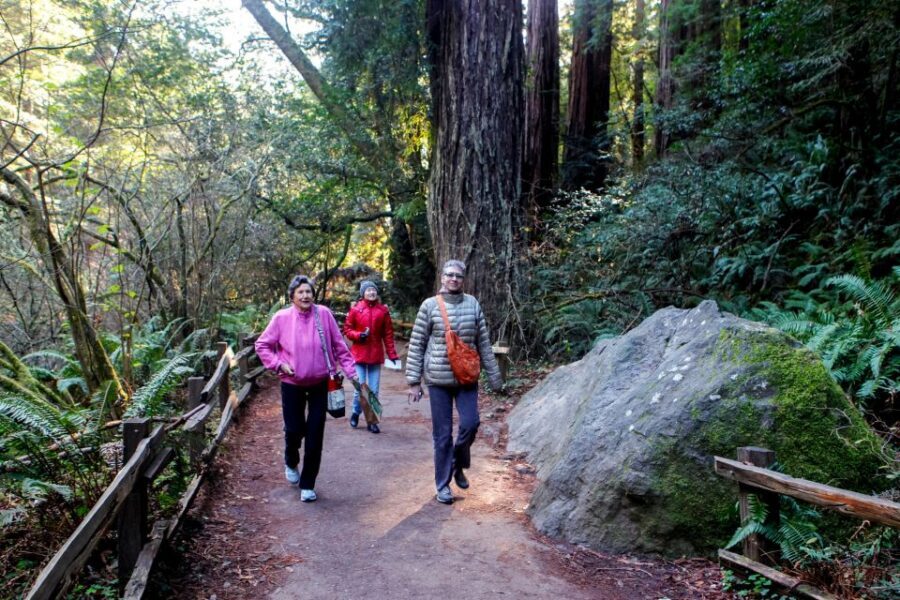 From San Francisco: Muir Woods Wine Tour with Napa & Sonoma - Small-Group Comfort: Why Max 13 Changes the Day