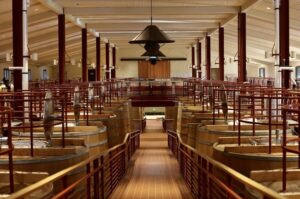 From San Francisco: Napa & Sonoma Valley Full-Day Wine Tour - The drive and the views: more than just wine-country traffic