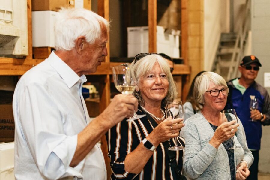 From San Francisco: Napa & Sonoma Valley Full-Day Wine Tour - Which Wineries You Might Get (and How to Choose for Your Taste)
