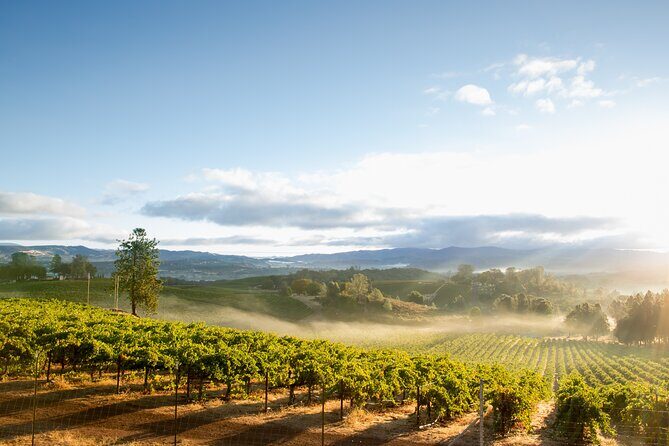 From San Francisco: Napa & Sonoma Valley Wine Tour with Tastings - The Golden Gate Bridge and Sausalito segment: scenic sanity