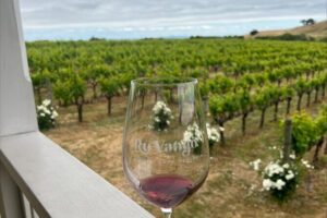 From San Francisco: Napa & Sonoma Valley Wine Tour with Tastings - Napa and Sonoma wineries: what the tastings are really for