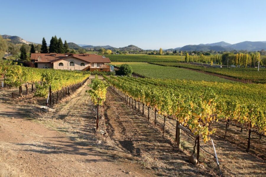 From San Francisco: Napa Valley Private Tour - A Private Car Makes Napa Feel Less Like a Checklist