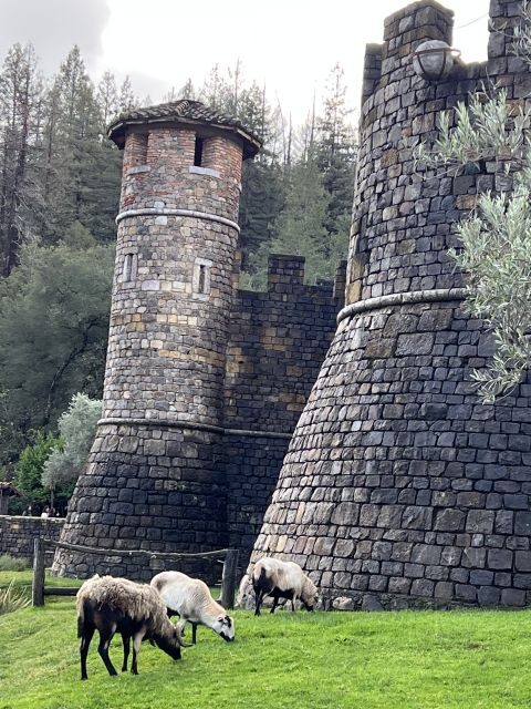 From San Francisco: Napa Valley Private Tour - The 6-Hour Rhythm: Pickup, Drive, Tastings, and the Timing Reality
