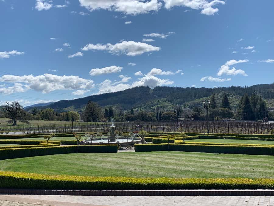 From San Francisco: Napa Valley & Sonoma Private Wine Tour - A private Napa and Sonoma day that’s actually flexible