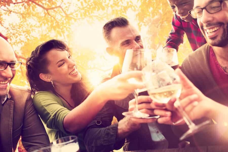 From San Francisco: Napa Valley & Sonoma Private Wine Tour - Picking the right wineries for your group (without getting overwhelmed)
