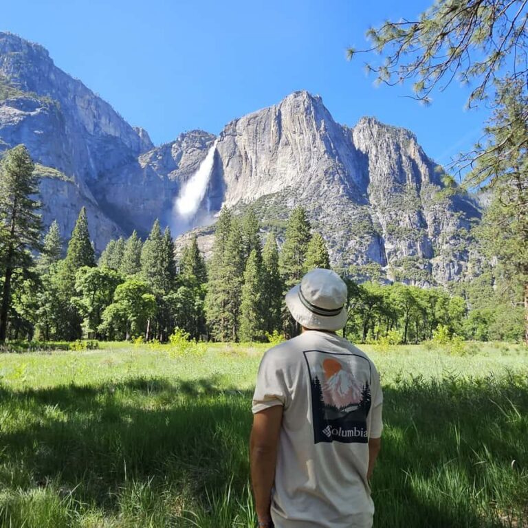 From San Francisco: Yosemite National Park Guided Day Trip - Comfort on the coach: air-conditioning, restroom access, and real-world timing