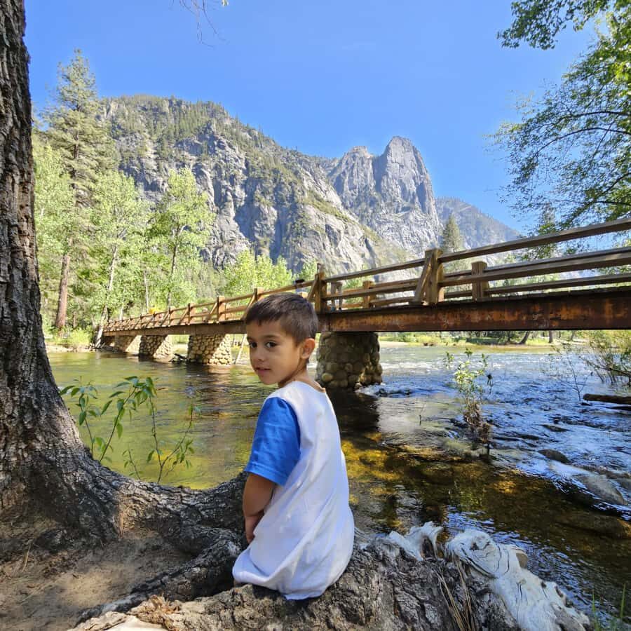 From San Francisco: Yosemite National Park Guided Day Trip - Yosemite Falls, Tuolumne Meadows, and the Visitor Center: squeezing variety into one day