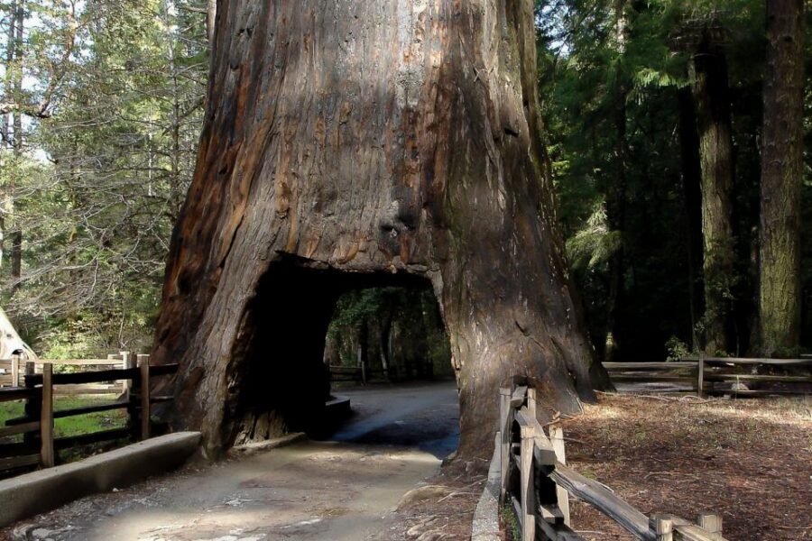 From San Francisco: Yosemite Private Full-Day Trip - Key highlights to know before you go