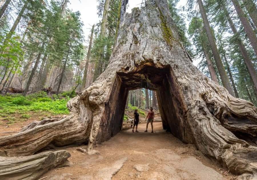 From San Jose:Enchanted Full Day Yosemite National Park Tour - Tunnel View: the quick way to understand Yosemite Valley