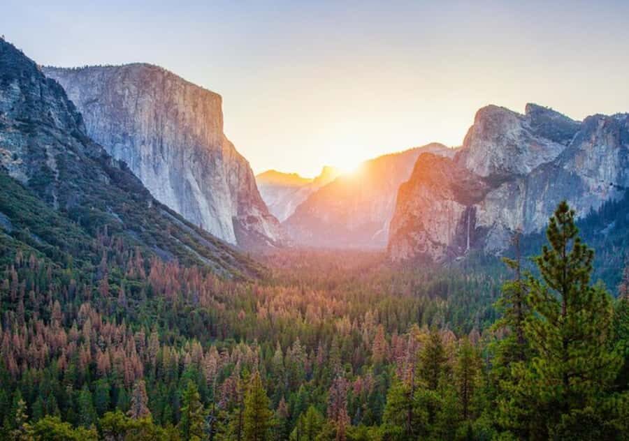 From San Jose:Enchanted Full Day Yosemite National Park Tour - Price and value: what you’re paying for at $385 per person