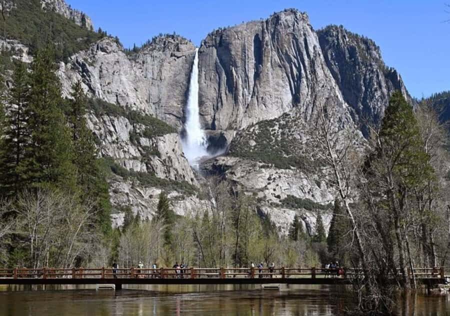 From San Jose:Enchanted Full Day Yosemite National Park Tour - How to handle guide style and road-trip realities