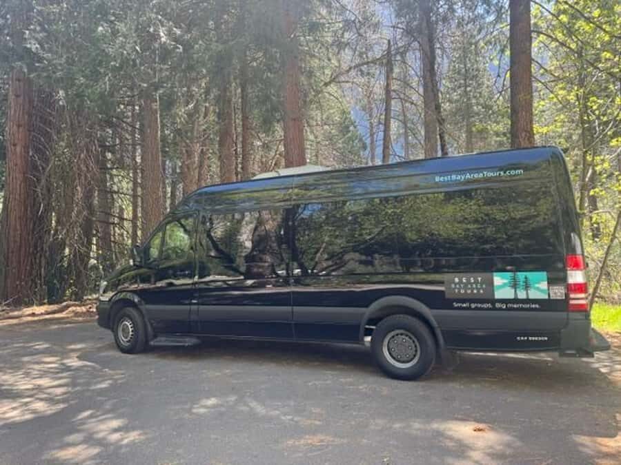 From SF: Yosemite Day Trip with Giant Sequoias Hike & Pickup - Price, Included Fees, and What to Bring for a Smooth Day