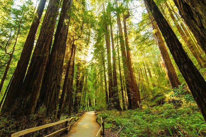 Golden Gate Bridge Muir Woods Sausalito with Optional Alcatraz - Neighborhood stops that give you bearings fast