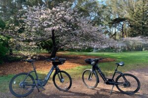 Golden Gate Park Electric Bike Rental - Your flexible ride plan: de Young Museum to Conservatory of Flowers