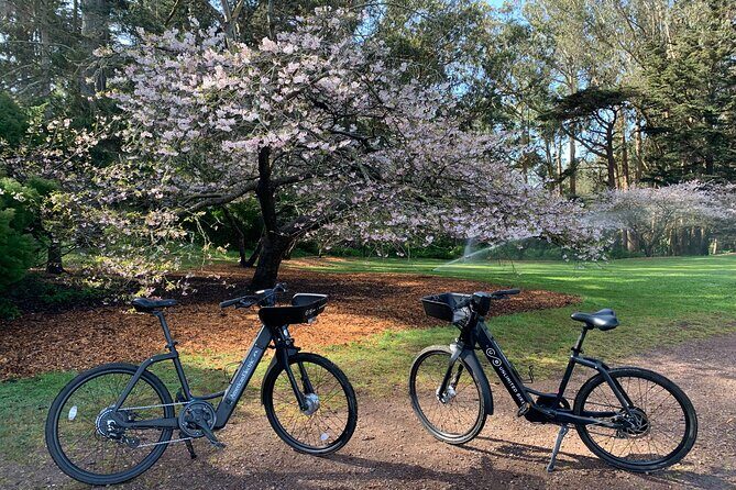 Golden Gate Park Electric Bike Rental - Your flexible ride plan: de Young Museum to Conservatory of Flowers