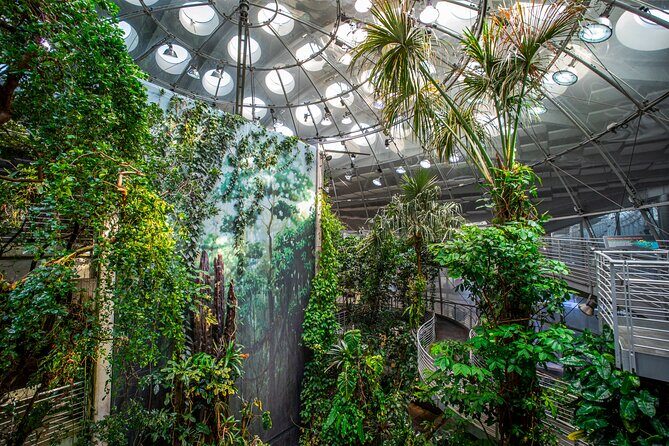 Golden Gate Park Tour With California Academy of Sciences Ticket - Starting outside the California Academy of Sciences (and why that’s a win)