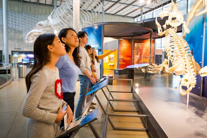 Golden Gate Park Tour With California Academy of Sciences Ticket - De Young Museum and Hamon Observation Tower: panoramic views without guesswork