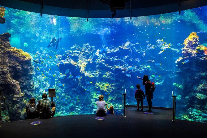 Golden Gate Park Tour With California Academy of Sciences Ticket - Back at the Academy of Sciences: using your ticket smartly