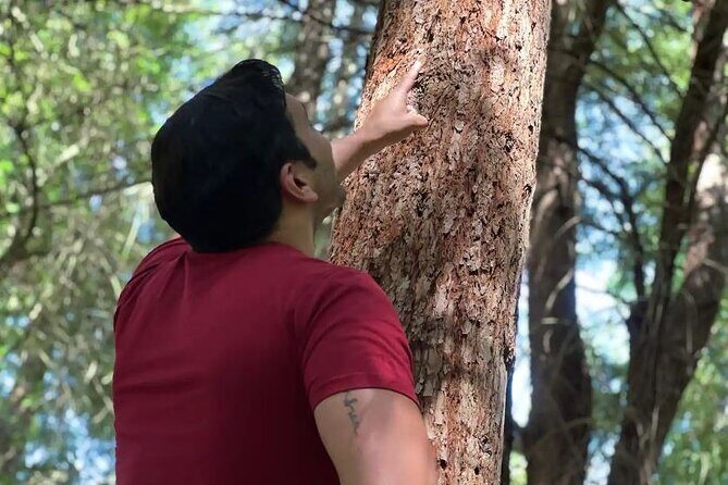 Golden Gate Park's Hidden Gems, Highlights and History - Perfect matches: who this Golden Gate Park walk is for
