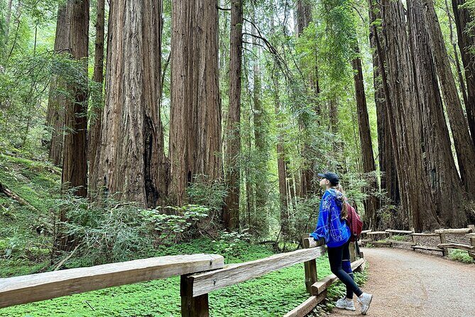 Half-Day Muir Woods & Sausalito Tour with Entry Ticket Included - Golden Gate Bridge North Vista Point: Big Views, Quick Stop