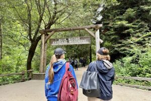 Half-Day Muir Woods & Sausalito Tour with Entry Ticket Included - The Scenic Drive Through Marin: What You’ll Actually See