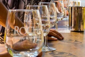 Half-Day Wine Country Tour from San Francisco - Sonoma Valley stop: second winery, second vibe