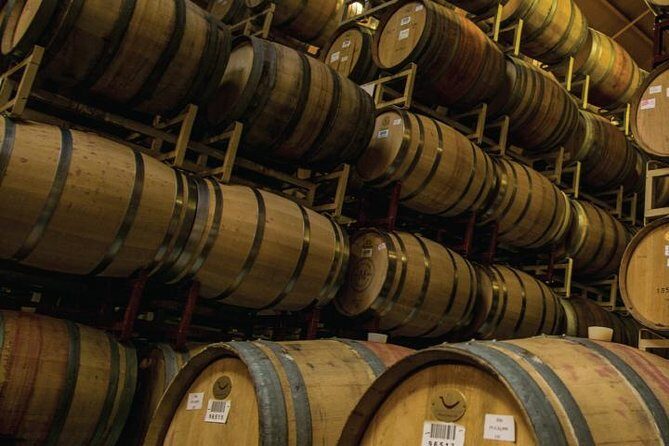 Half-Day Wine Country Tour from San Francisco - Bus comfort, group size, and guide narration