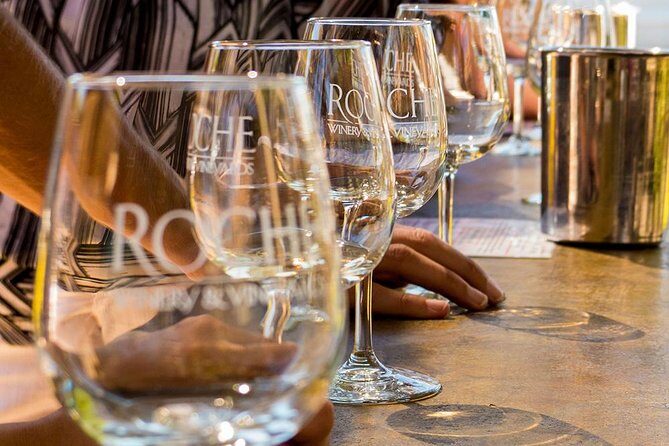 Half-Day Wine Country Tour from San Francisco - Sonoma Valley stop: second winery, second vibe