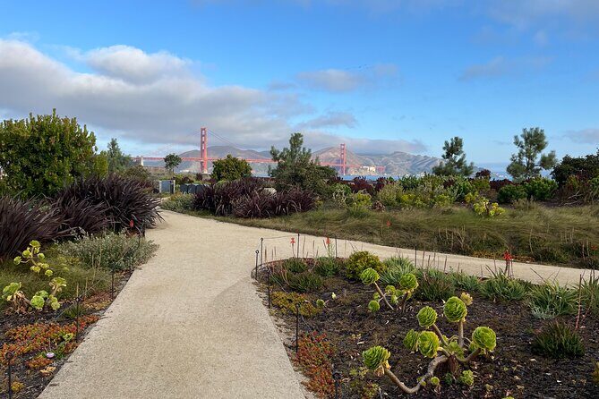 Iconic San Francisco Urban Hiking Tour - Key things that make this SF urban hike worth your time