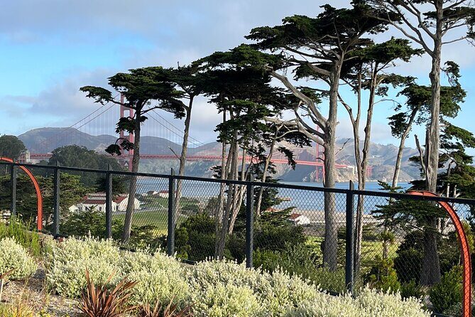 Iconic San Francisco Urban Hiking Tour - Passing Yoda to Tunnel Tops Park: The Photo-Heavy Middle