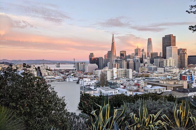 Local Flavors: An Insider's Tour of San Francisco's Hidden Gems - Italian-American streets: where food and daily life share the frame