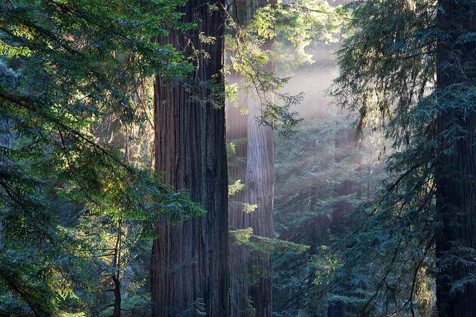 Mix & Save: Muir Woods and Sausalito + Escape From the Rock Cruise - Union Square to the Golden Gate: the coach ride you’ll actually appreciate