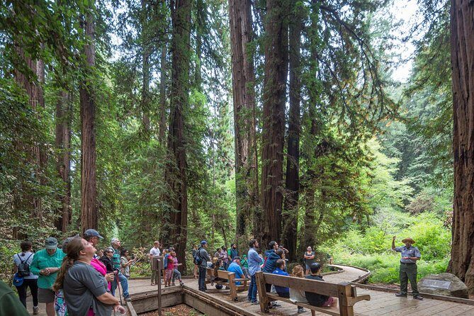 Mix & Save: Muir Woods and Sausalito + Escape From the Rock Cruise - Who should book this one, and who might prefer a different plan?