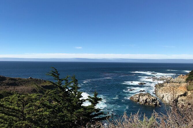 Monterey Peninsula, Carmel, 17-Mile Drive Max 12 Small Group Tour - 17-Mile Drive Tickets Included: Lone Cypress, Bird Rock, Pebble Beach