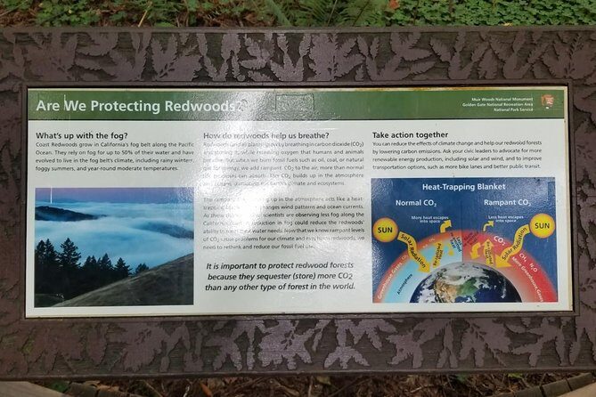 Muir Woods and Sausalito Afternoon Tour Small-Group Half-Day - Price and Value: Is $99 Worth It for This Much Ground?