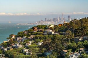 Muir Woods and Sausalito Half Day Tour - Your 90 minutes in the redwoods: enough time, but plan your pace