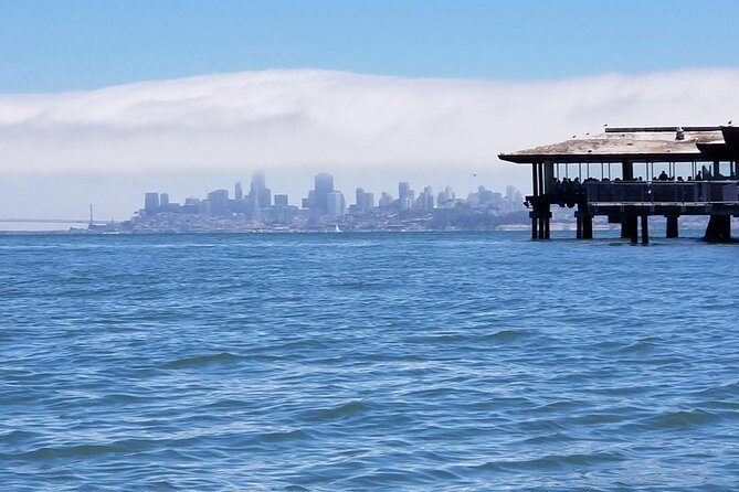 Muir Woods and Sausalito Morning Tour Small-Group Half Day - Who should book this tour, and who might want a different plan