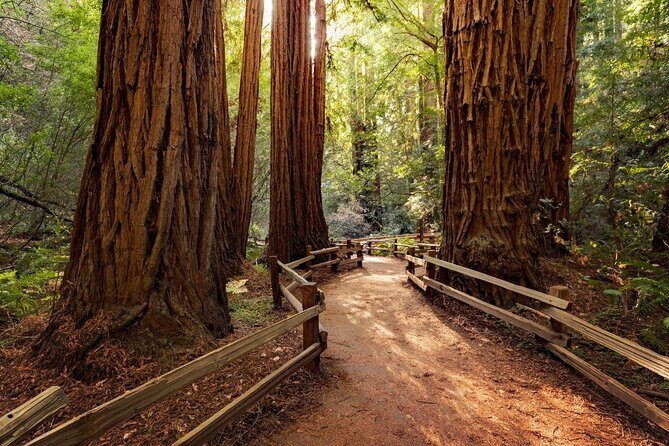 Muir Woods and Sausalito Small-Group Tour - Key Highlights You’ll Actually Feel