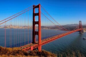 Muir Woods and Sausalito Small-Group Tour - Muir Woods: The 1-Hour Walk That Actually Fits