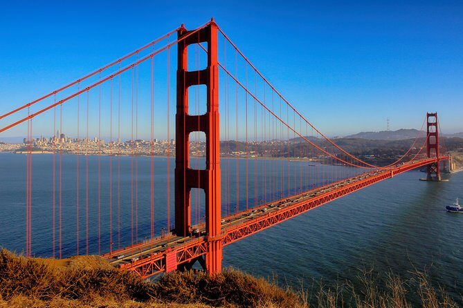 Muir Woods and Sausalito Small-Group Tour - Muir Woods: The 1-Hour Walk That Actually Fits