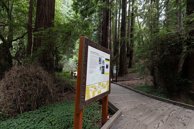 Muir Woods and Sausalito Tour Entrance Fee Included - Who this tour fits best (and who should consider another plan)