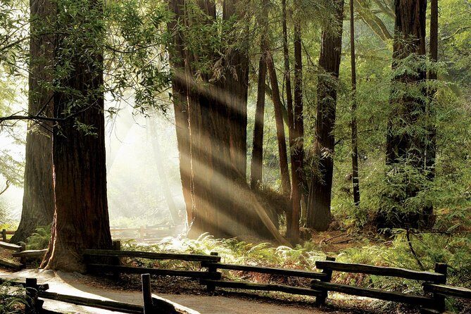 Muir Woods & Napa-8hr-Private Scenic Wine Tour From San Francisco - Private wheels from San Francisco: how the 8 hours really move