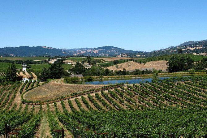 Muir Woods & Napa-8hr-Private Scenic Wine Tour From San Francisco - Muir Woods and Redwood Park: the main event, plus the one extra ticket