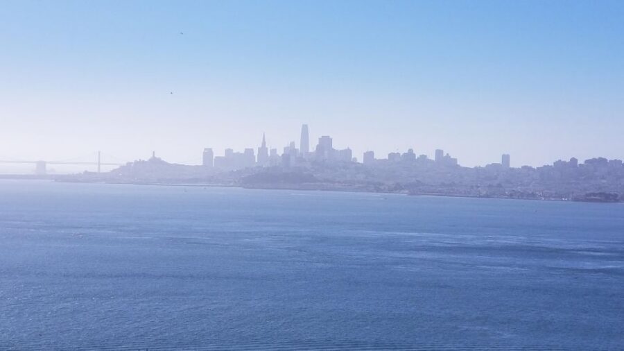 Muir Woods, Sausalito and Ferry back to Fisherman's Wharf - Sausalito for Art, Seafood, and Waterfront Views (3 Hours to Do Your Thing)